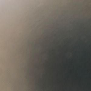 Meet your Posher, Curly